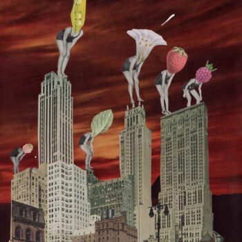 A Imersão das Orgânicas -Colagem manual sobre página de revista antiga. Pati Peccin © 2019