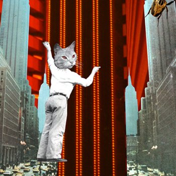 colagem digital pati peccin