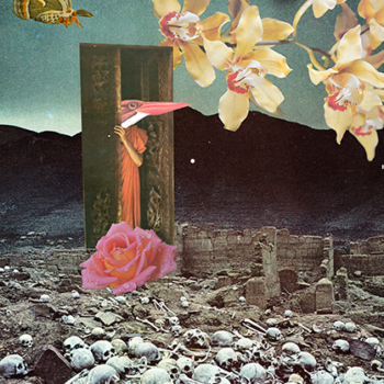 colagem digital Pati Peccin