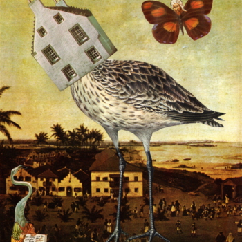 O Alvorecer da Humanidade - Colagem