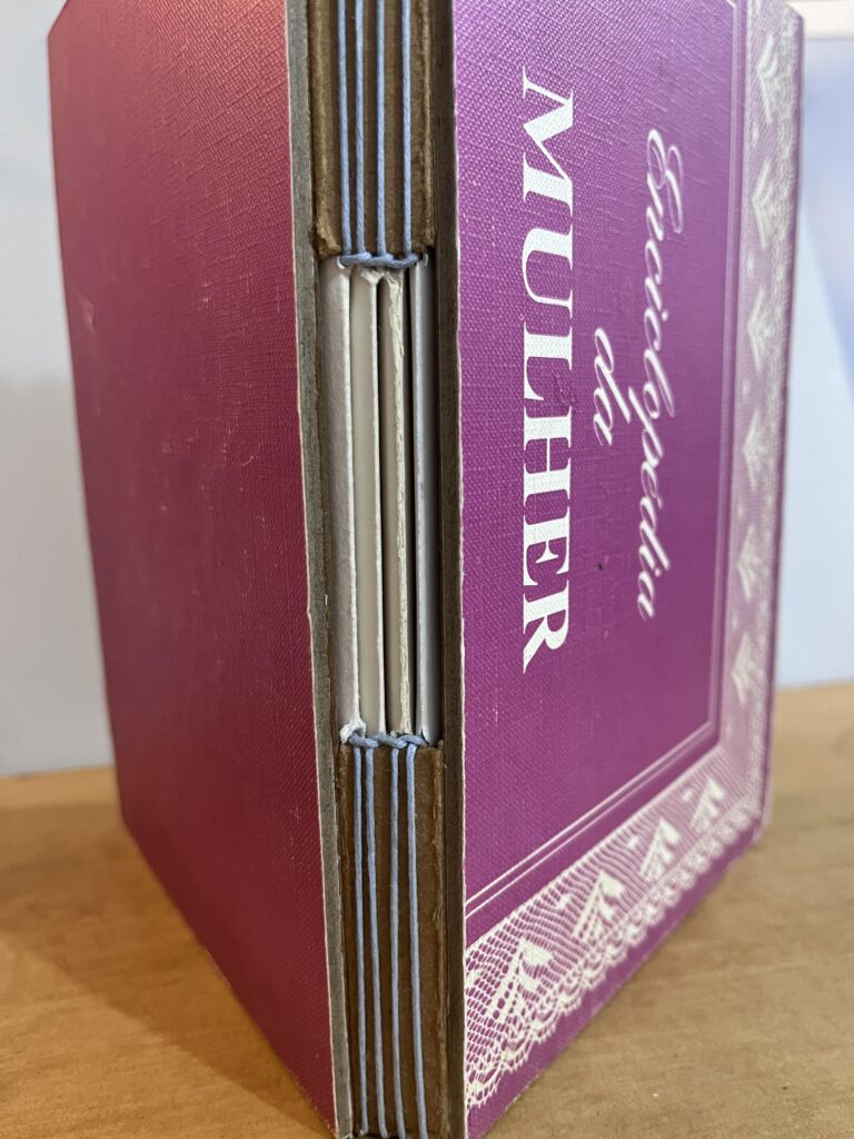 encadernação Junk Journal Corrupiola