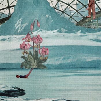 colagem digital pati peccin